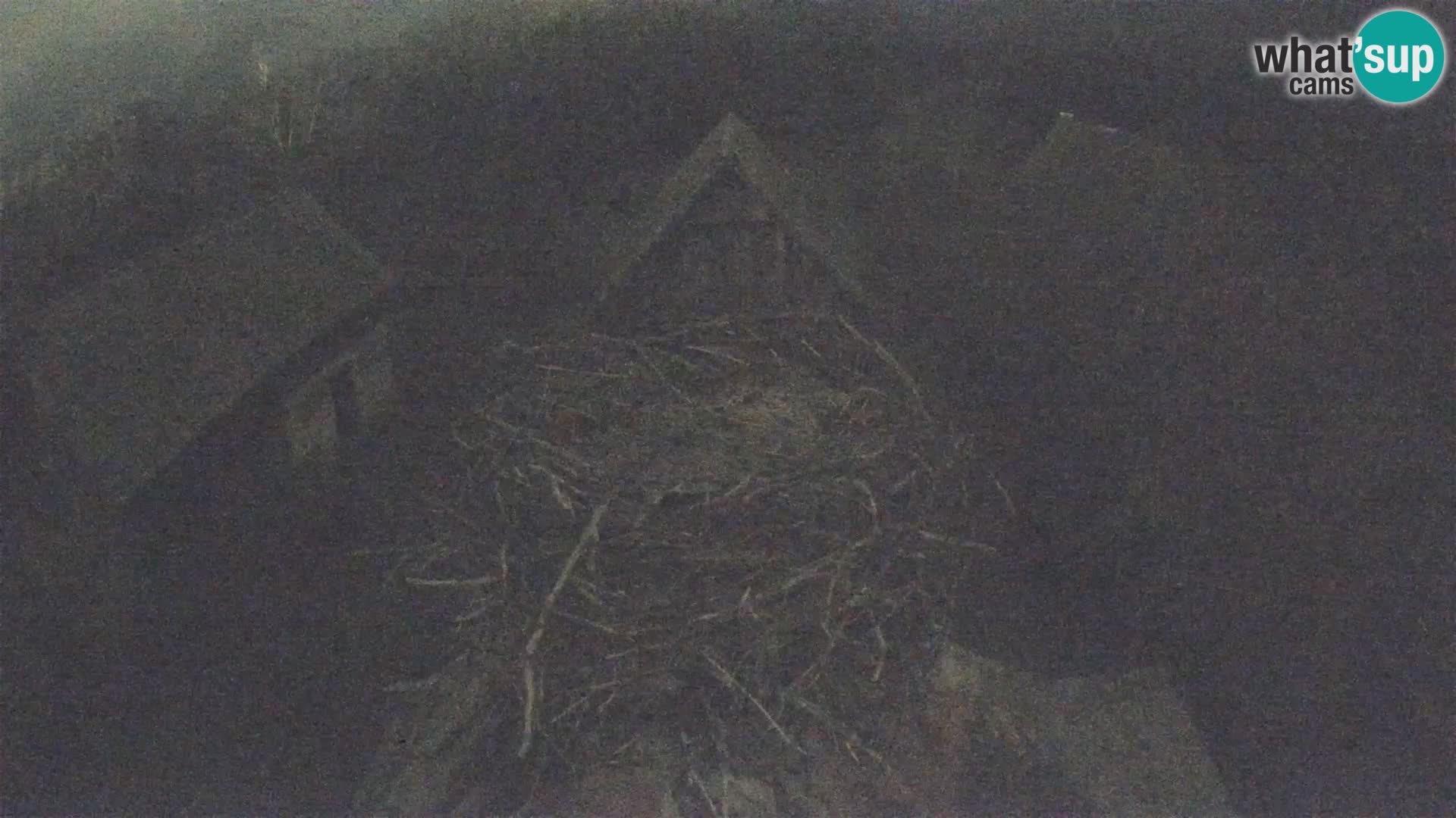 Evropska vas štorklje – Krajinski park Lonjsko polje spletna kamera