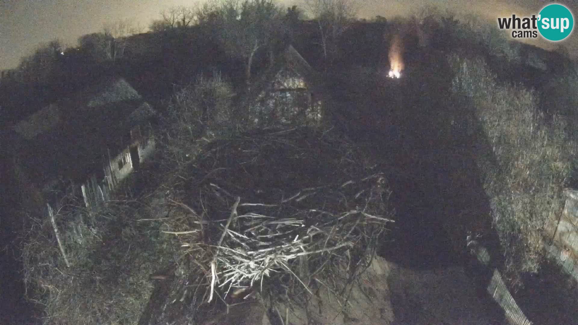 Webcam Europäisches Storchendorf – Naturpark Lonjsko polje