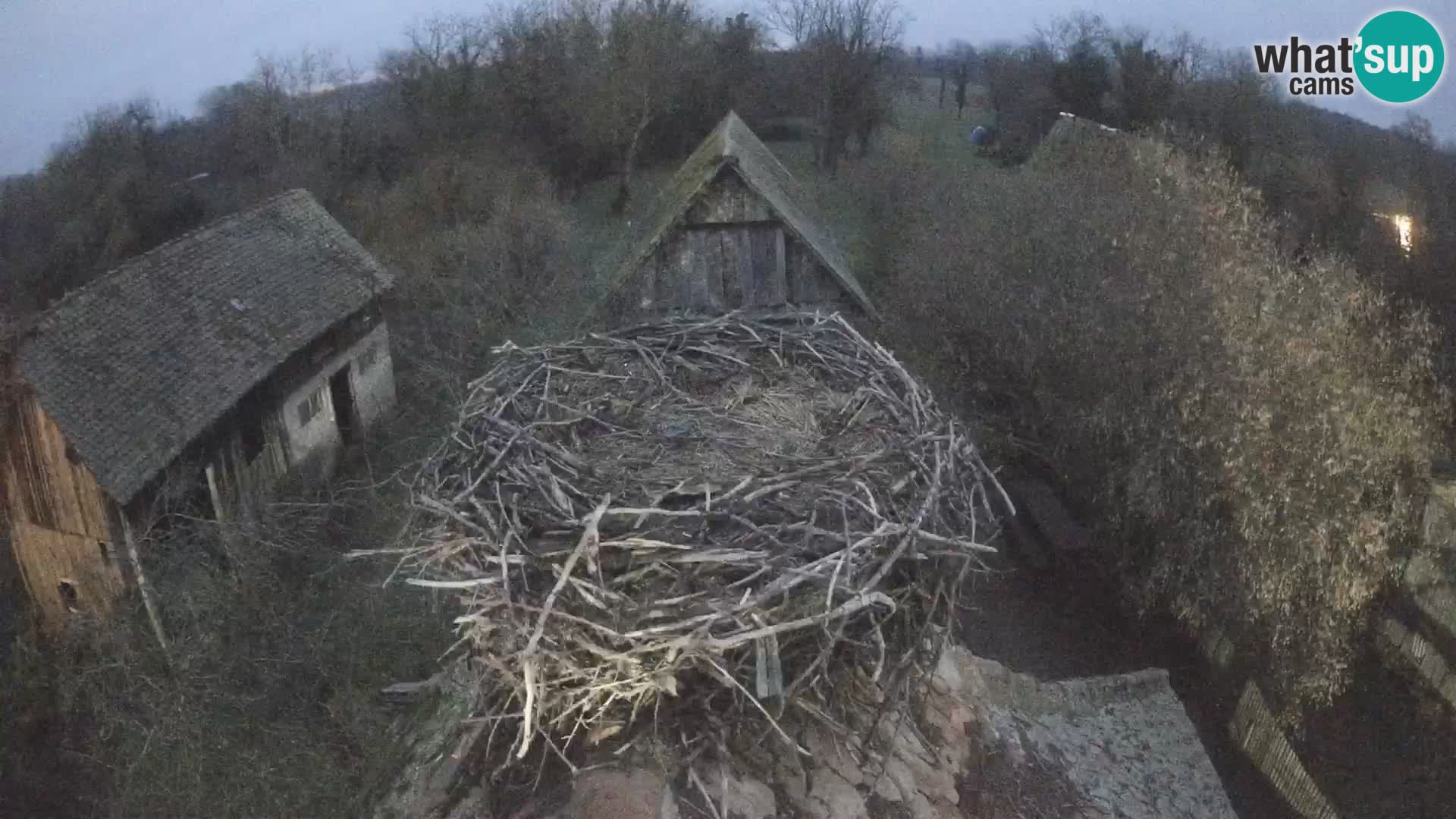 Webcam Europäisches Storchendorf – Naturpark Lonjsko polje