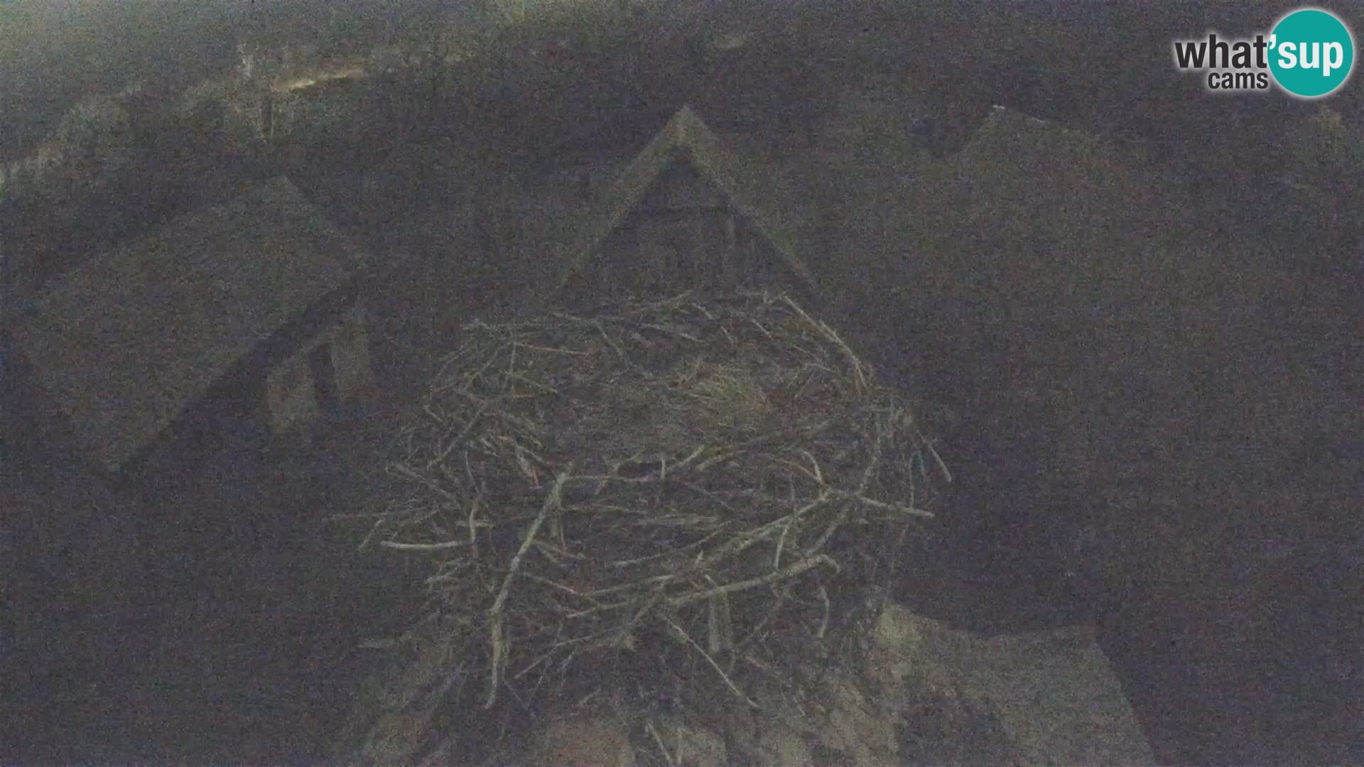 U živo Europsko selo roda – Park prirode Lonjsko polje