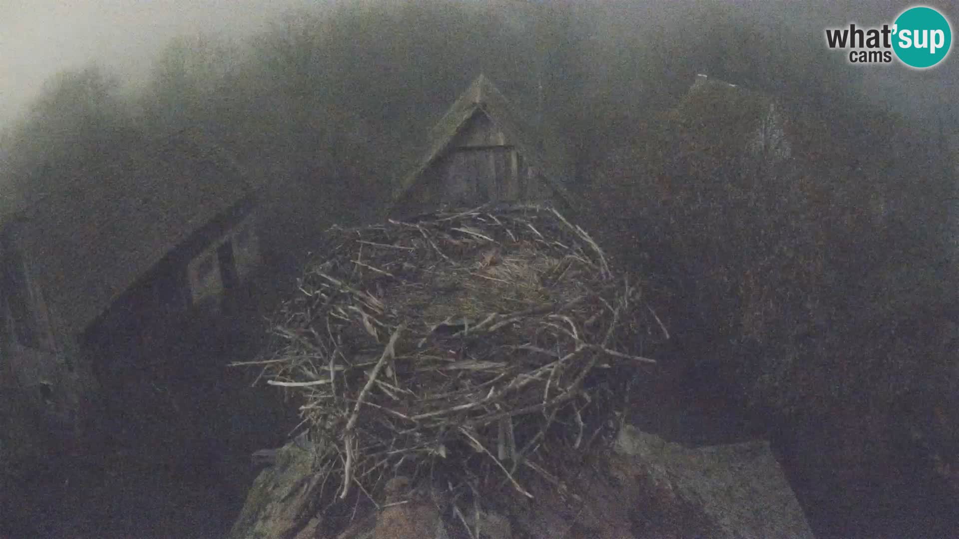 U živo Europsko selo roda – Park prirode Lonjsko polje