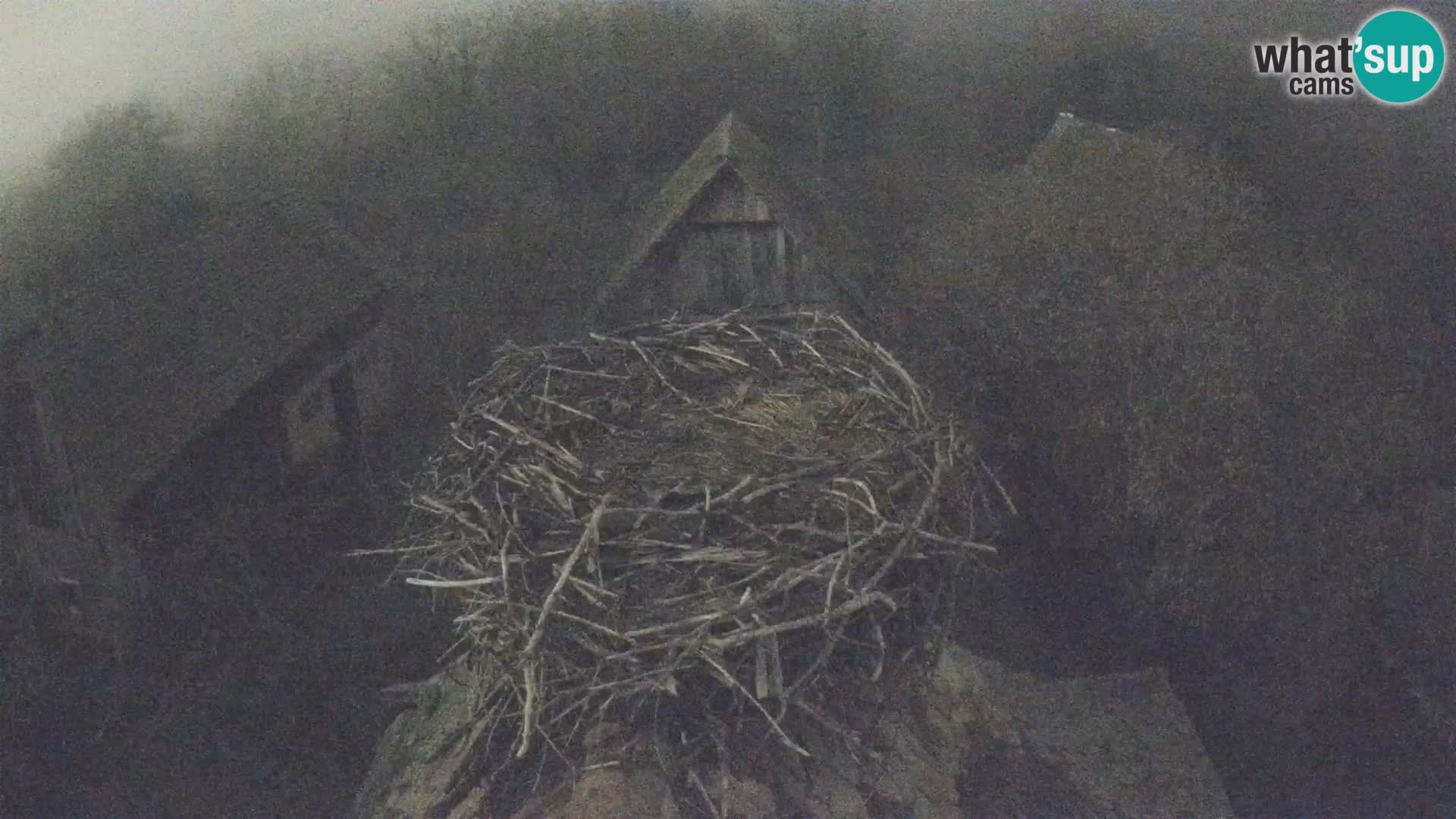 U živo Europsko selo roda – Park prirode Lonjsko polje