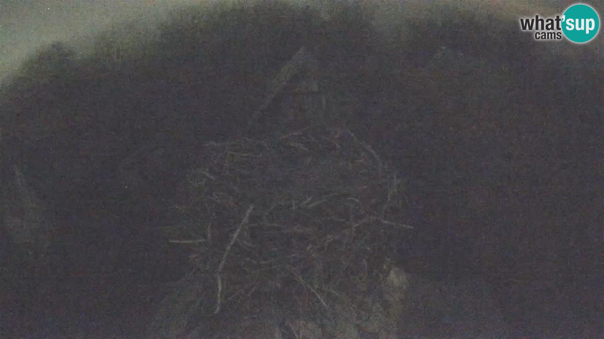 U živo Europsko selo roda – Park prirode Lonjsko polje