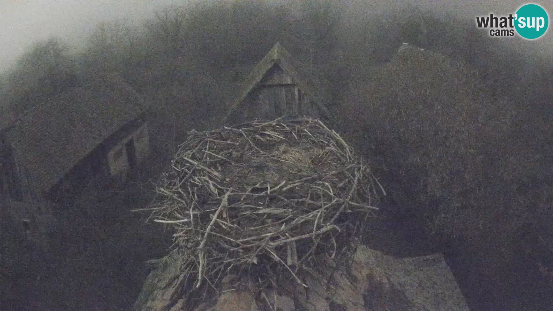 U živo Europsko selo roda – Park prirode Lonjsko polje