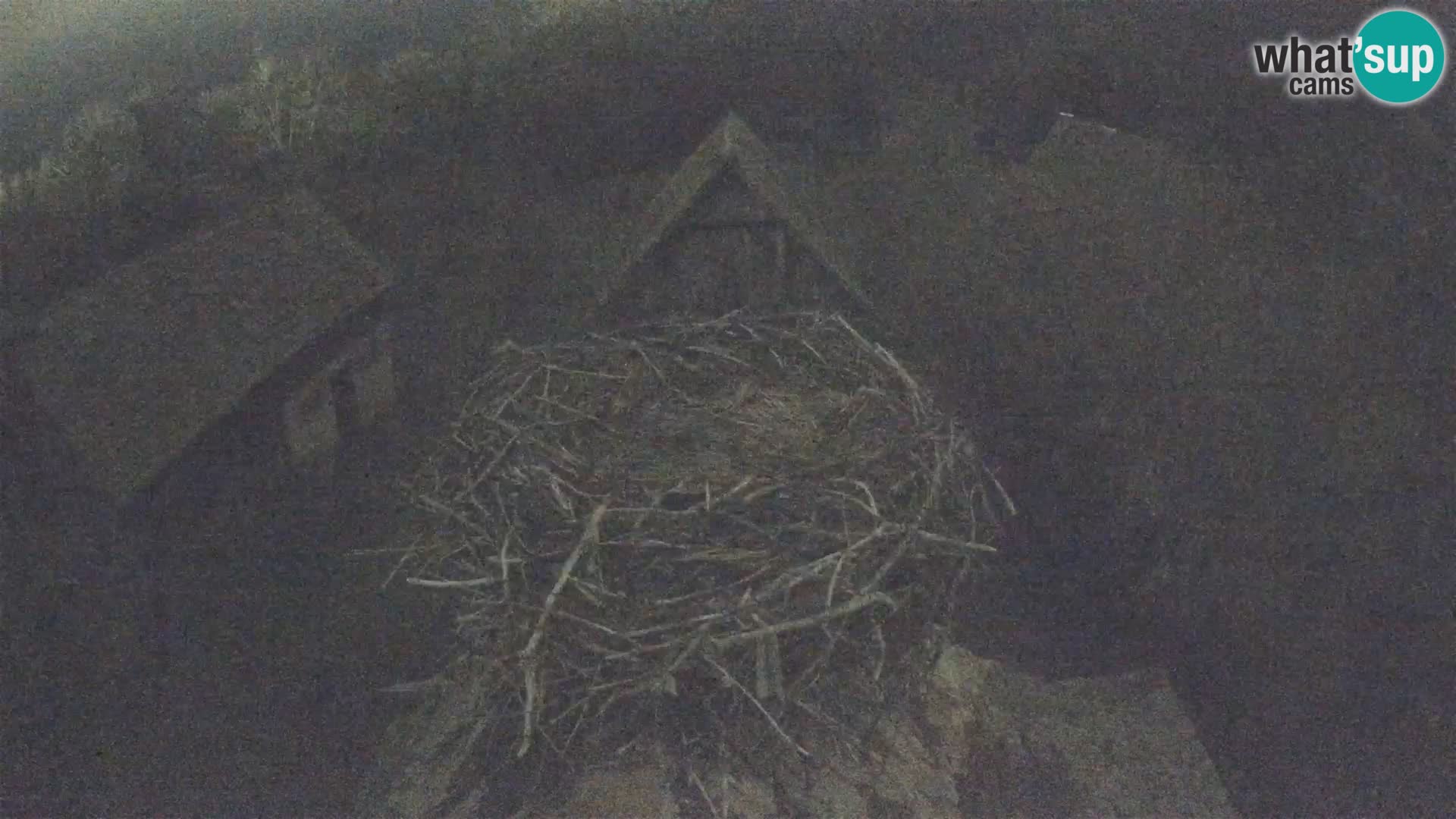 U živo Europsko selo roda – Park prirode Lonjsko polje