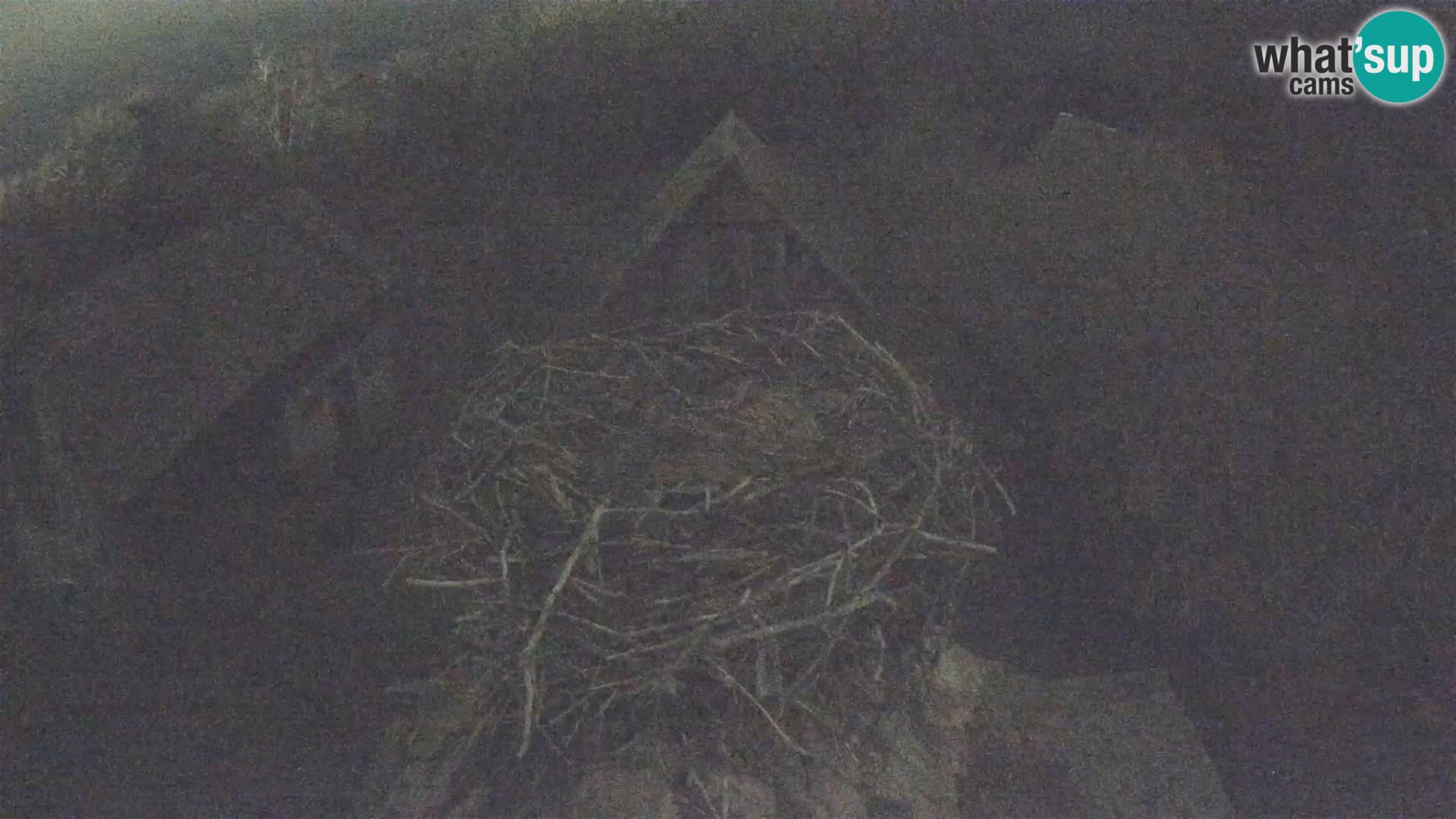 Webcam Europäisches Storchendorf – Naturpark Lonjsko polje