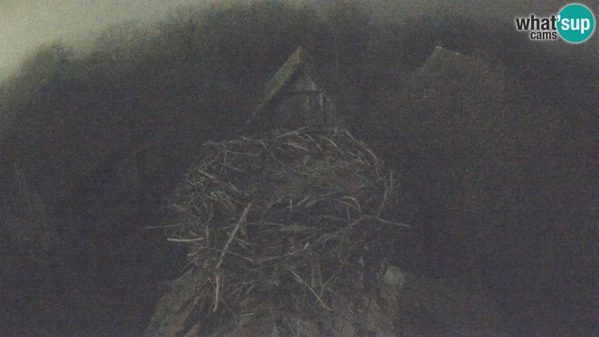 U živo Europsko selo roda – Park prirode Lonjsko polje