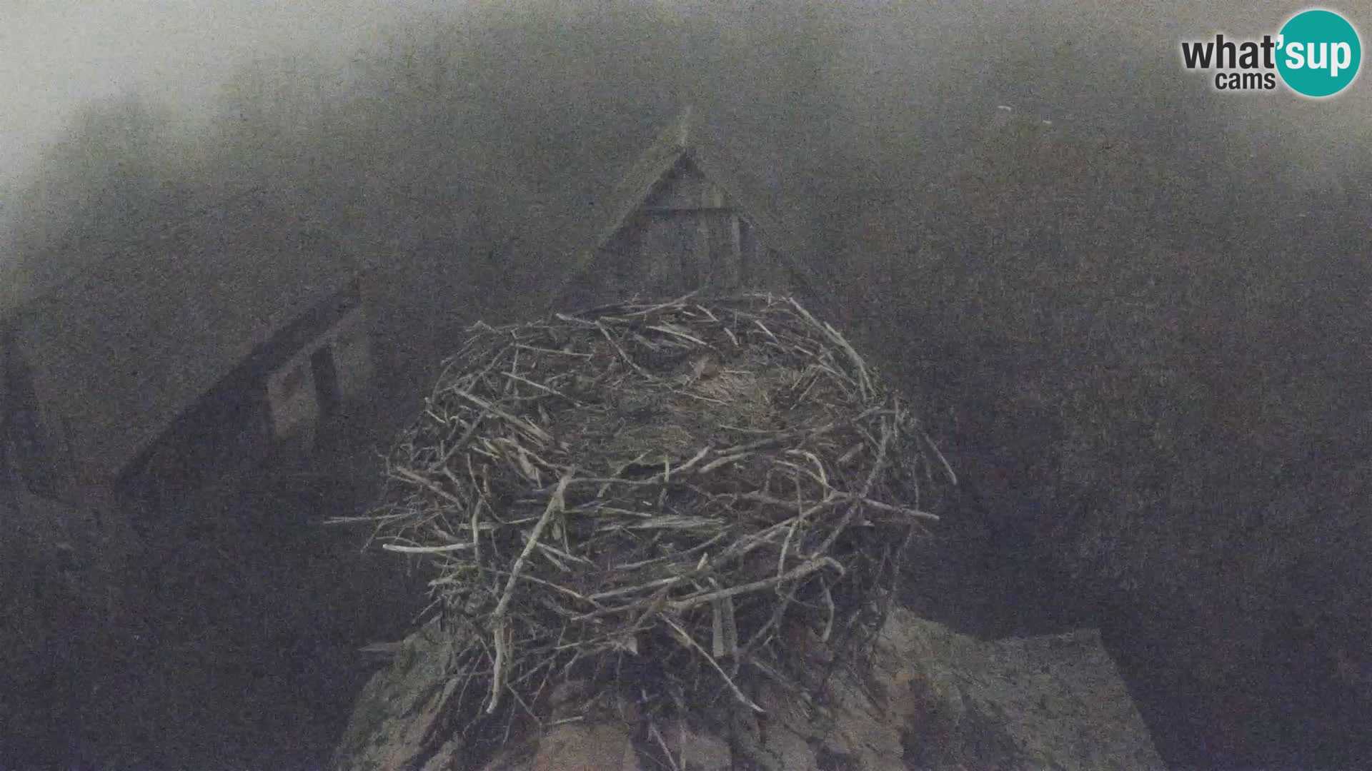 U živo Europsko selo roda – Park prirode Lonjsko polje