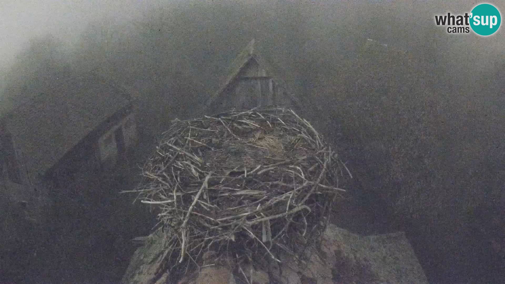 U živo Europsko selo roda – Park prirode Lonjsko polje