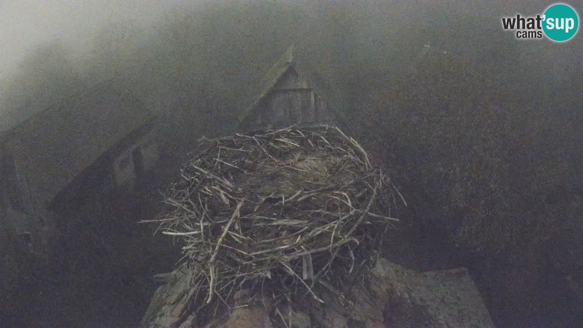 Webcam Europäisches Storchendorf – Naturpark Lonjsko polje