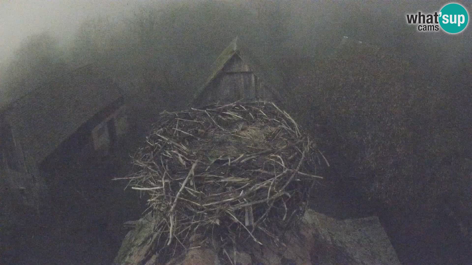 U živo Europsko selo roda – Park prirode Lonjsko polje