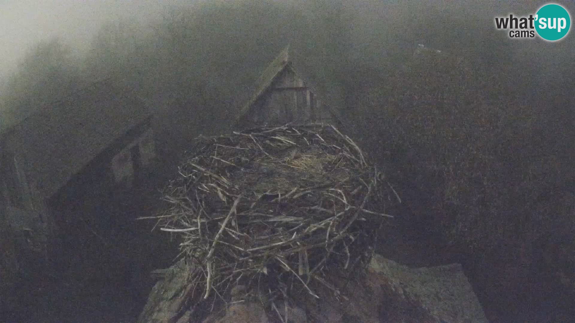 U živo Europsko selo roda – Park prirode Lonjsko polje