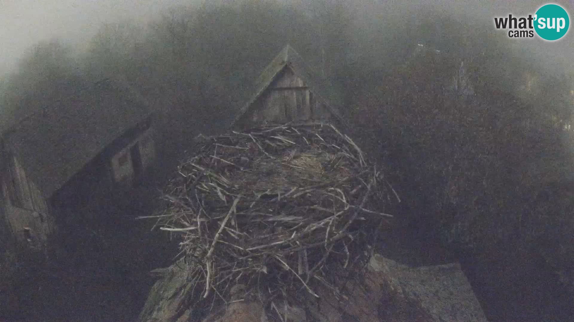 U živo Europsko selo roda – Park prirode Lonjsko polje