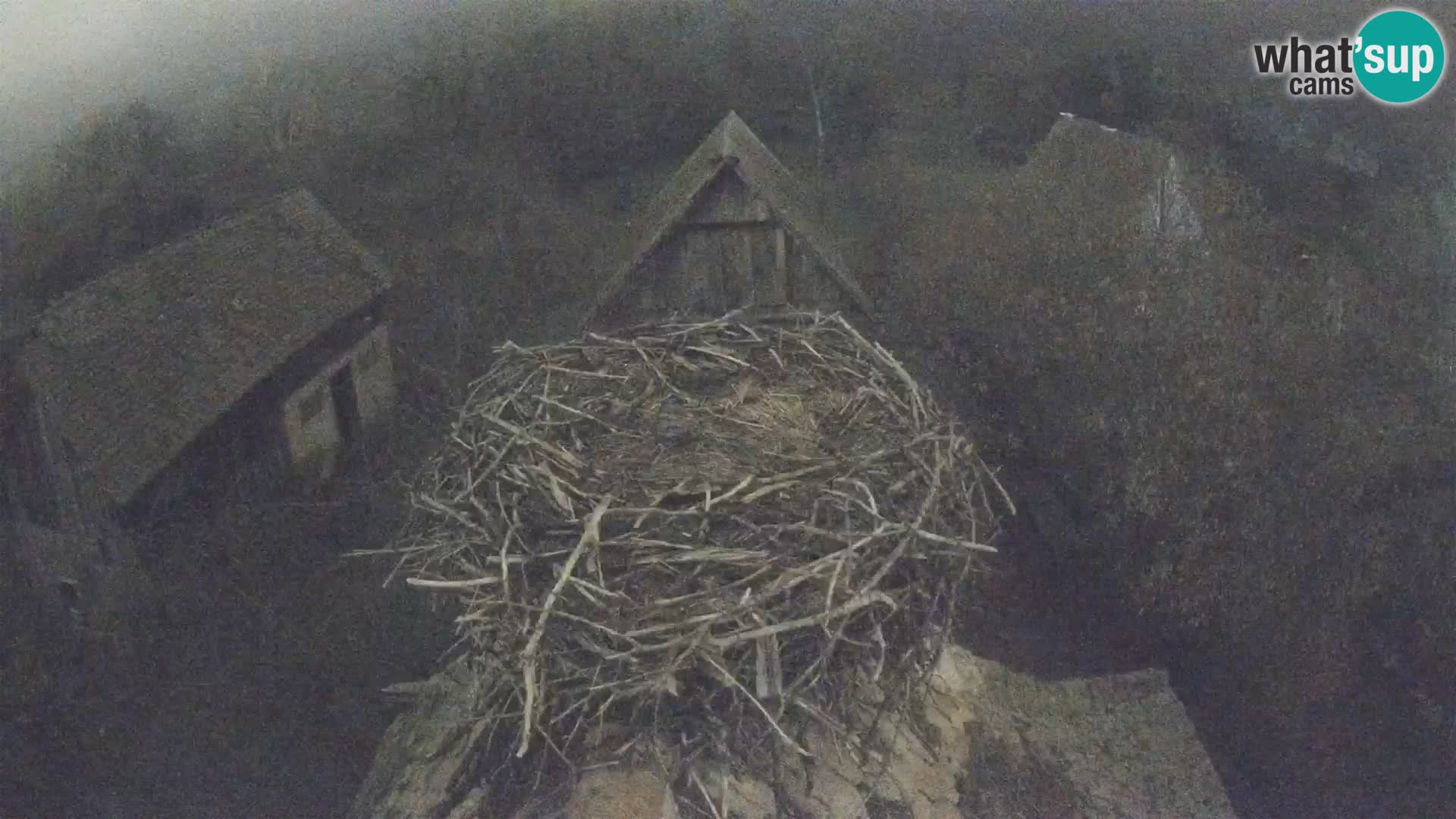 U živo Europsko selo roda – Park prirode Lonjsko polje