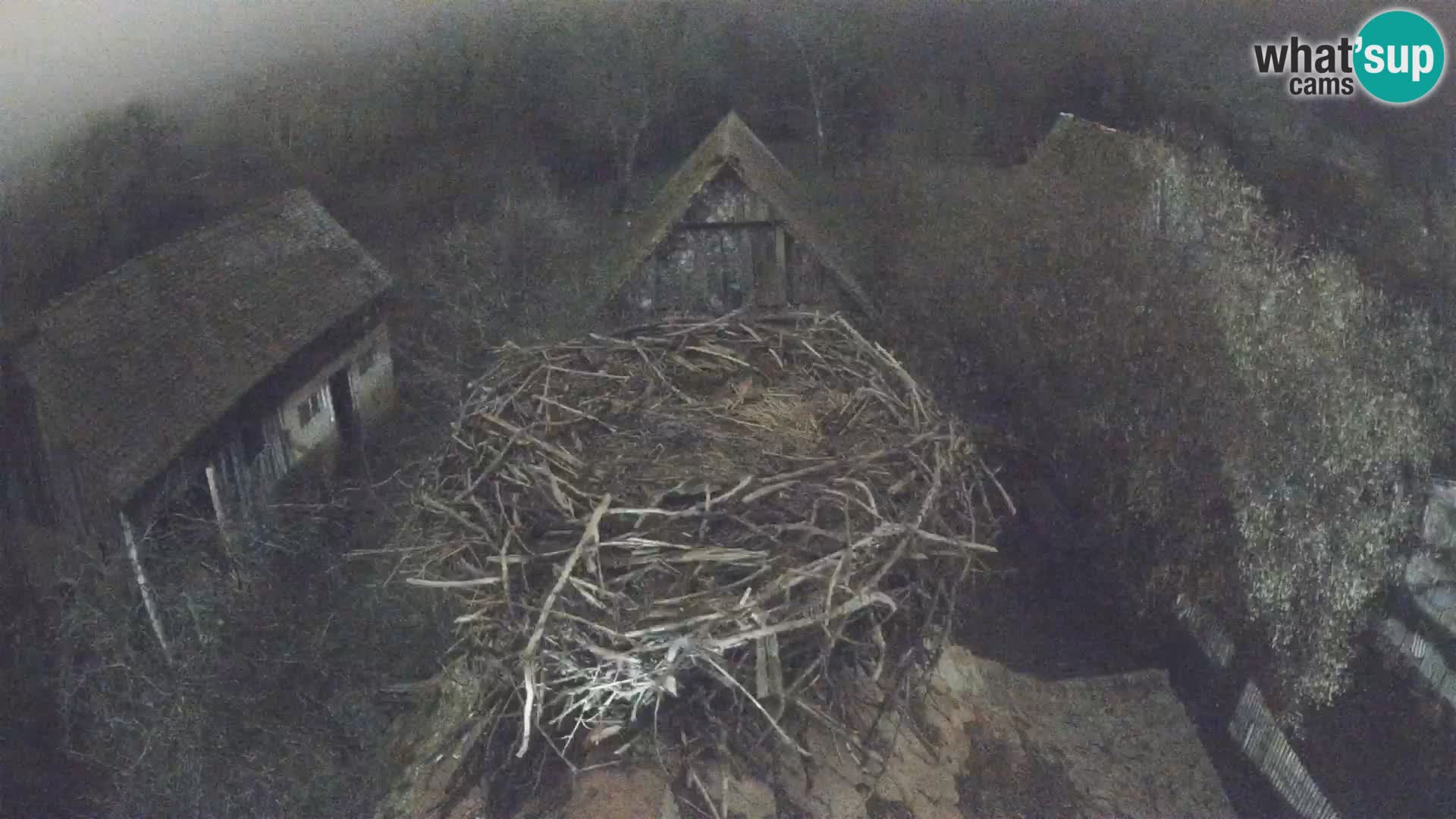 Webcam Europäisches Storchendorf – Naturpark Lonjsko polje