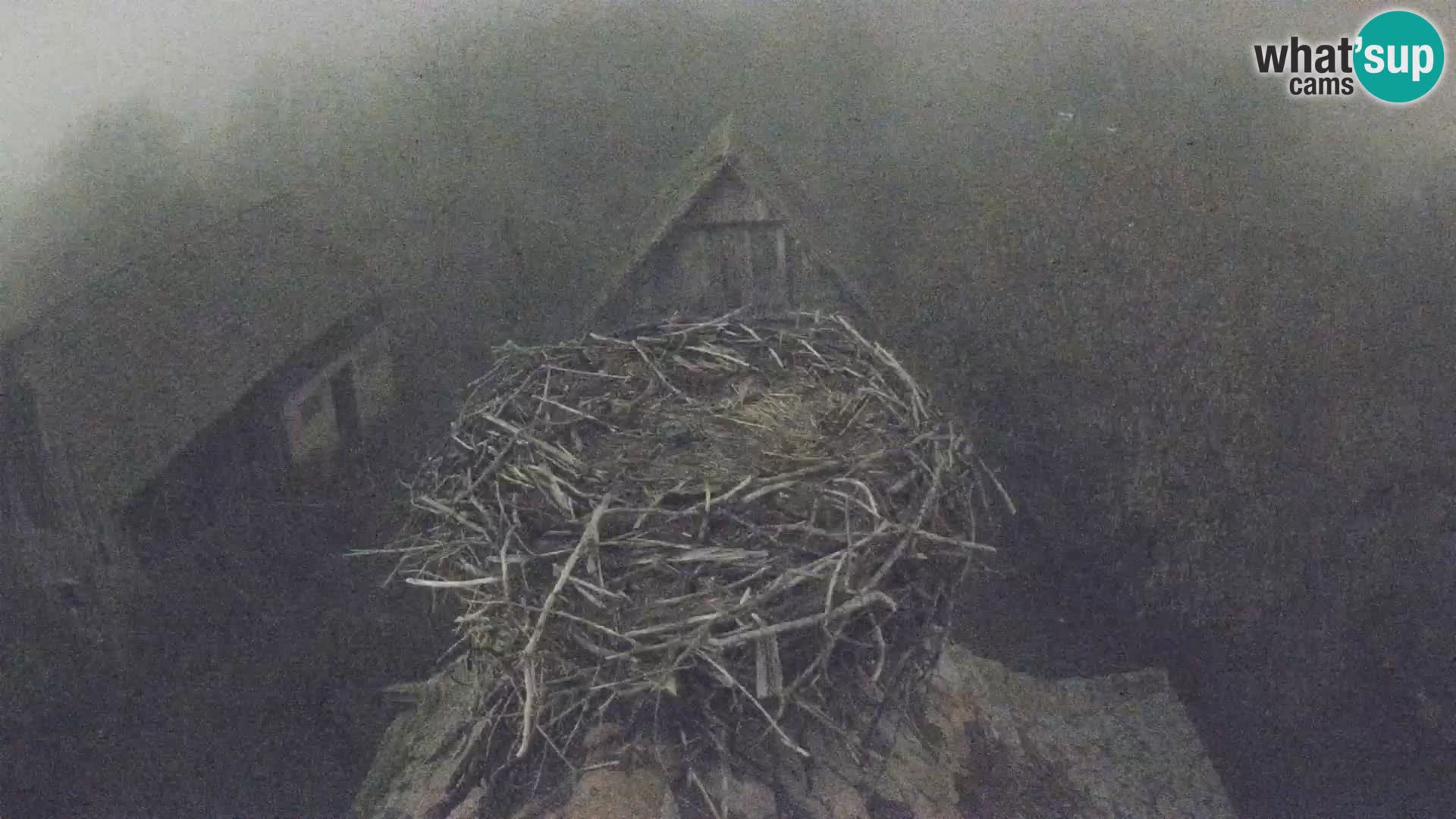 U živo Europsko selo roda – Park prirode Lonjsko polje