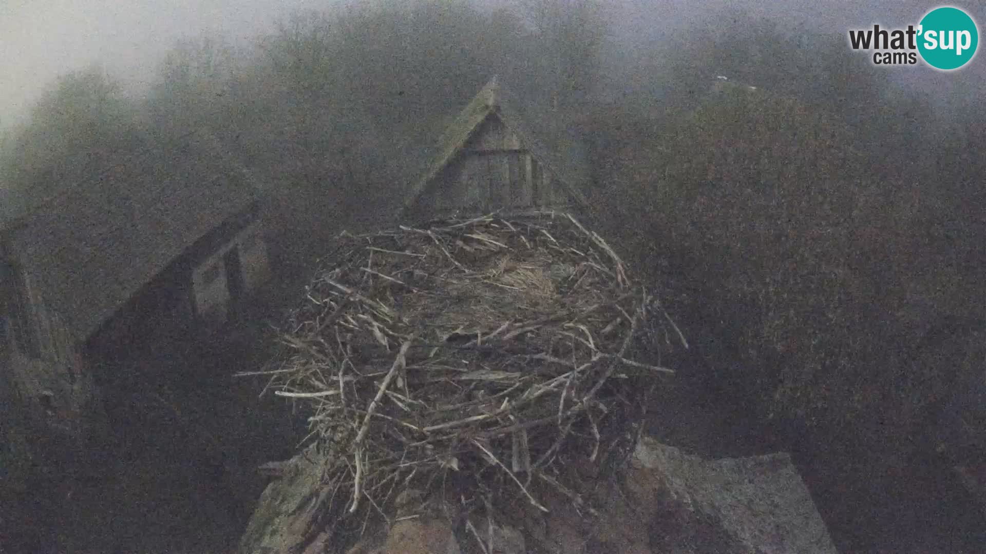 U živo Europsko selo roda – Park prirode Lonjsko polje