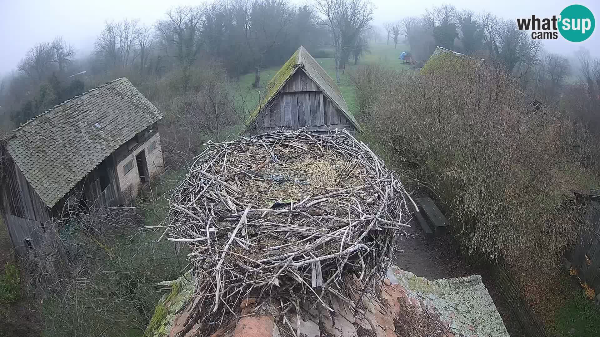 U živo Europsko selo roda – Park prirode Lonjsko polje