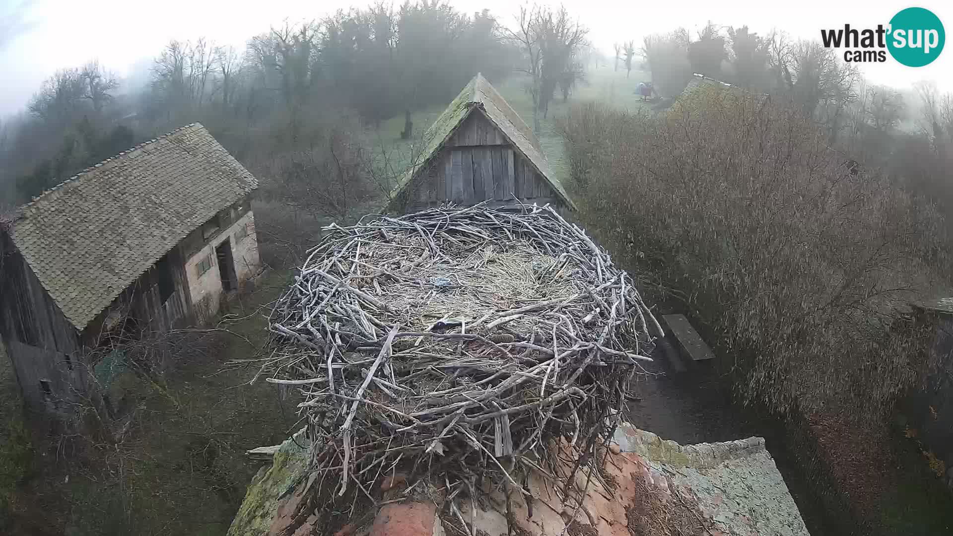 U živo Europsko selo roda – Park prirode Lonjsko polje