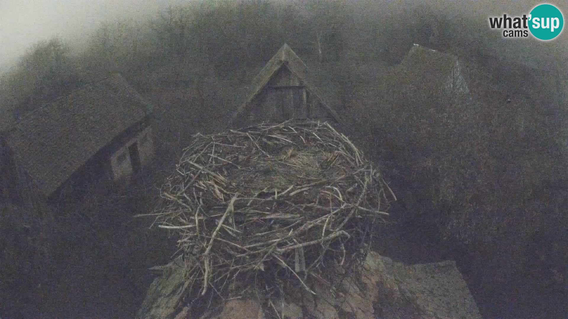 U živo Europsko selo roda – Park prirode Lonjsko polje