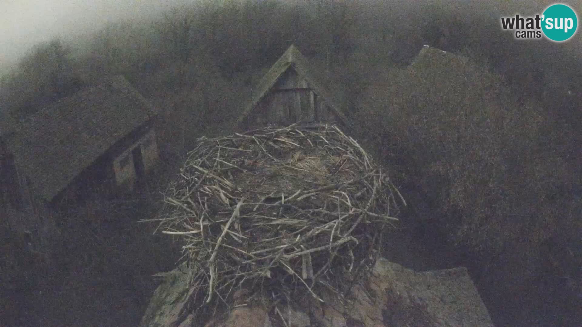 U živo Europsko selo roda – Park prirode Lonjsko polje