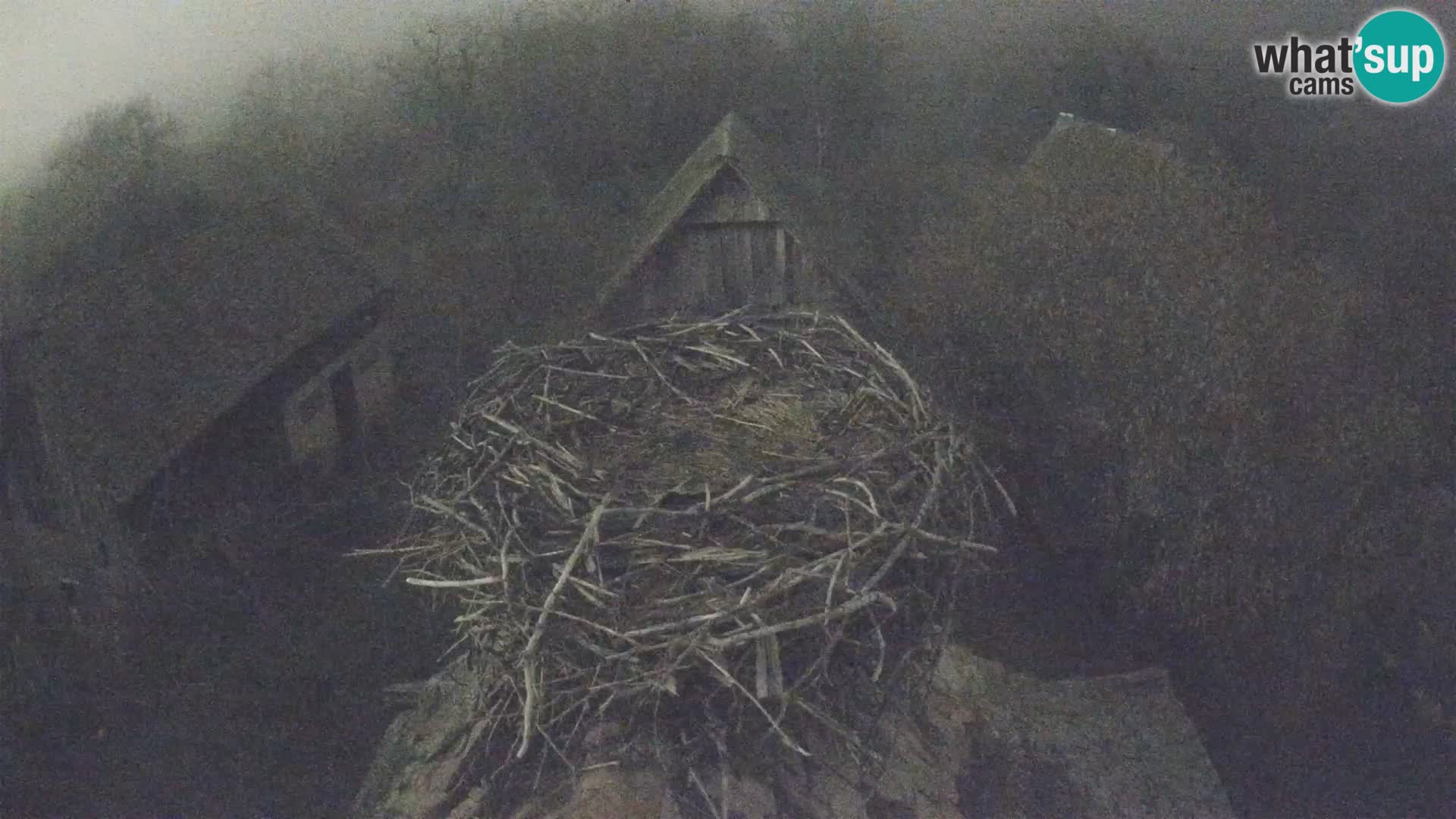 U živo Europsko selo roda – Park prirode Lonjsko polje