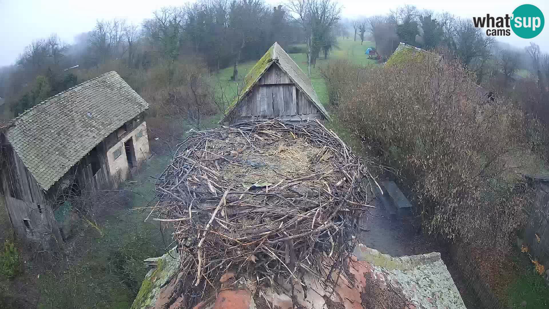 U živo Europsko selo roda – Park prirode Lonjsko polje