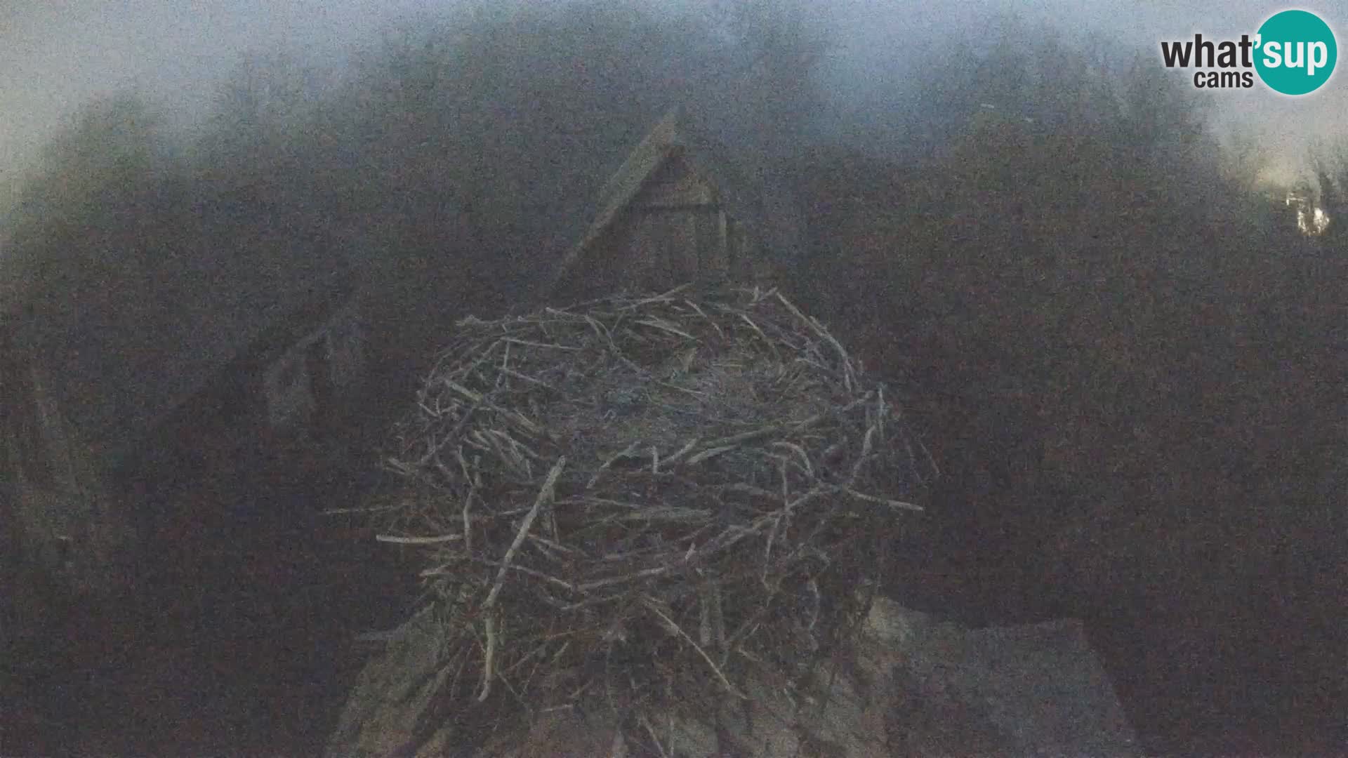 U živo Europsko selo roda – Park prirode Lonjsko polje