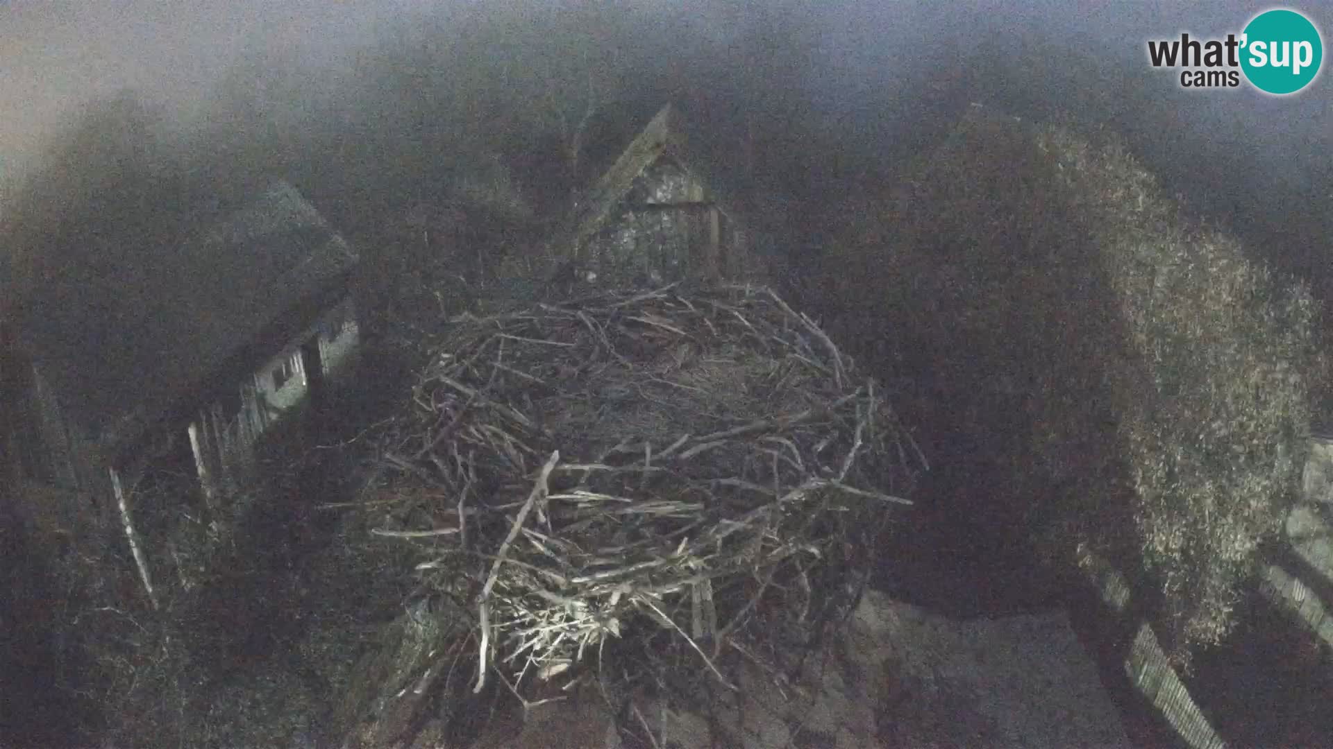 U živo Europsko selo roda – Park prirode Lonjsko polje