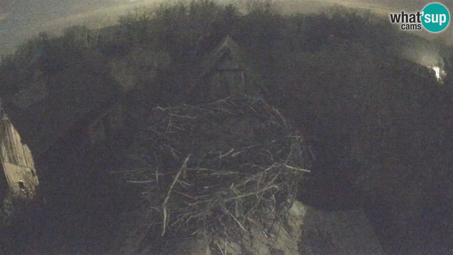 Villaggio delle cicogne europee webcam Parco naturale di Lonjsko polje