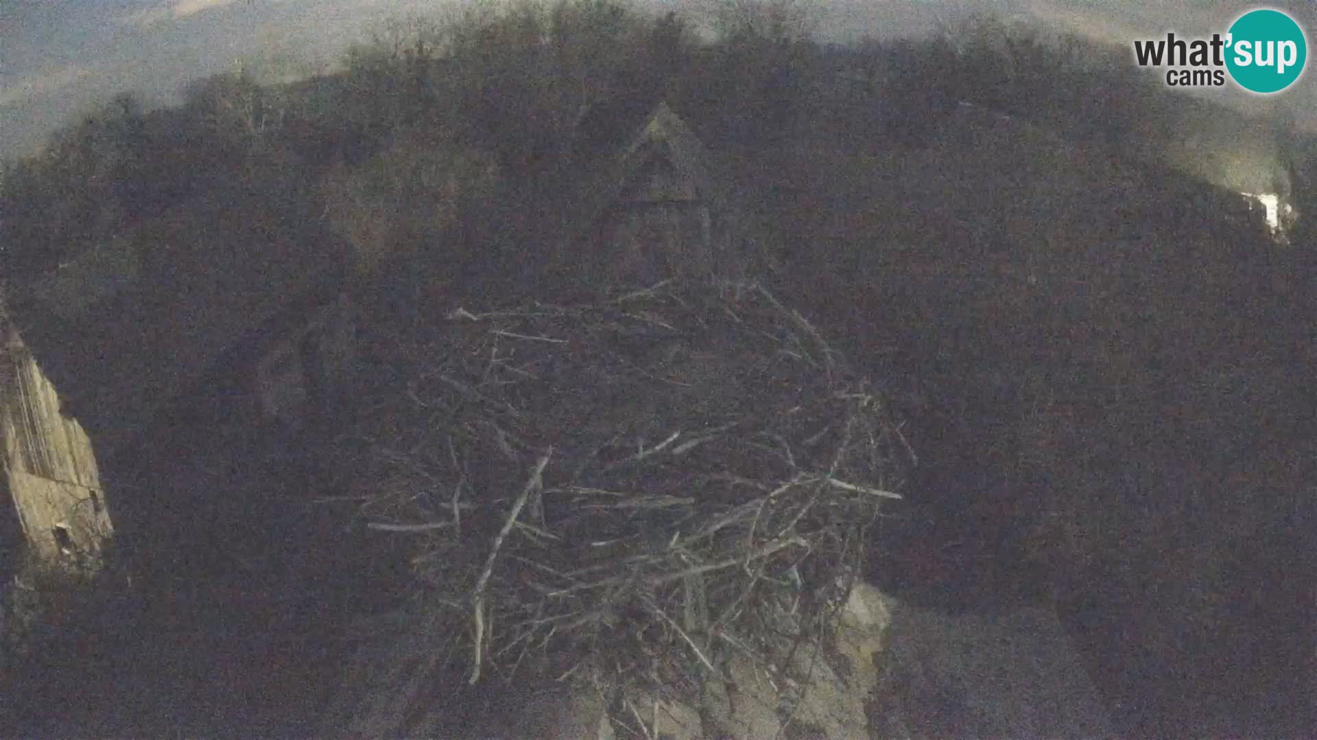 Village européen de cigognes webcam Parc naturel de Lonjsko polje