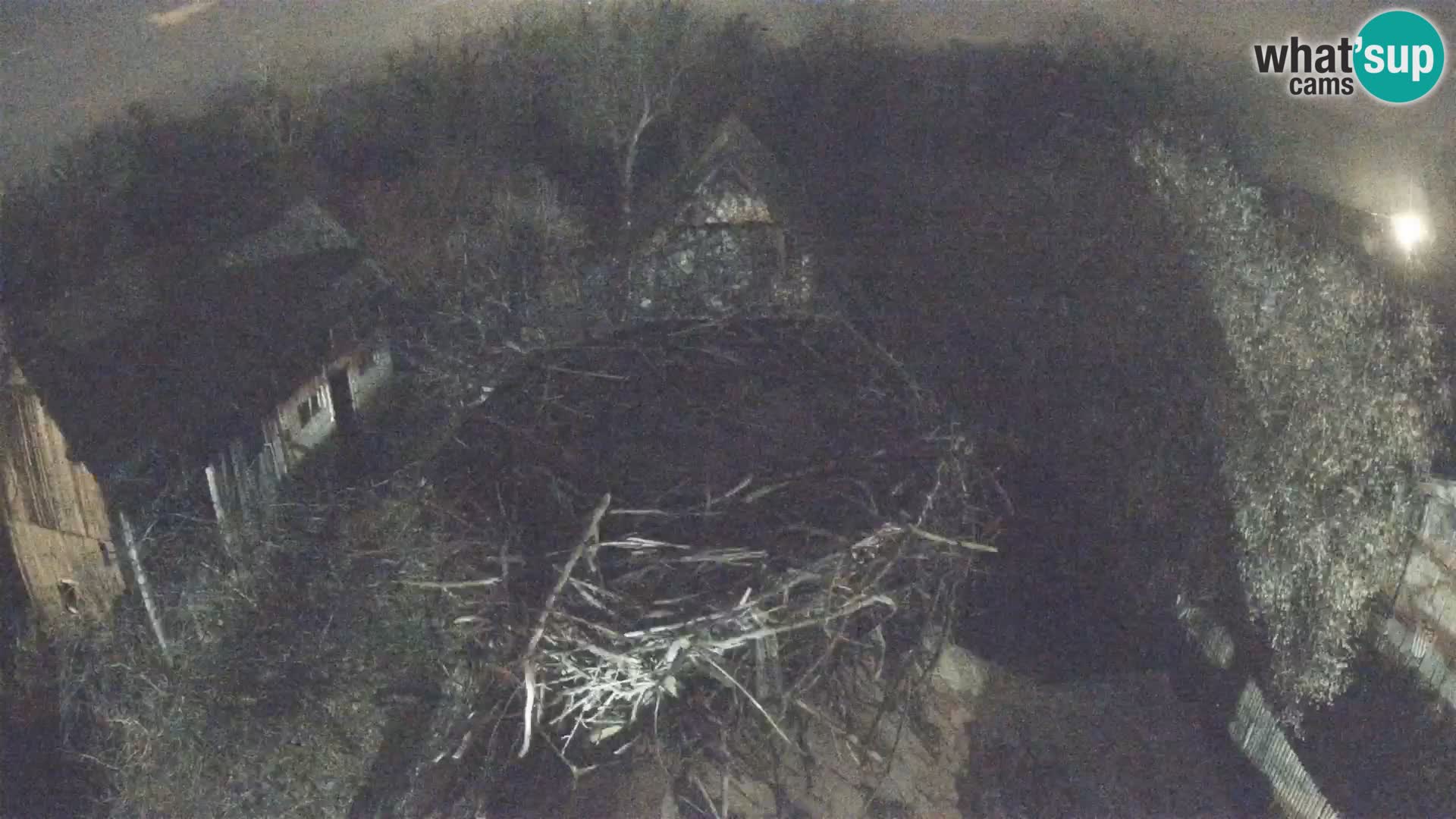 U živo Europsko selo roda – Park prirode Lonjsko polje