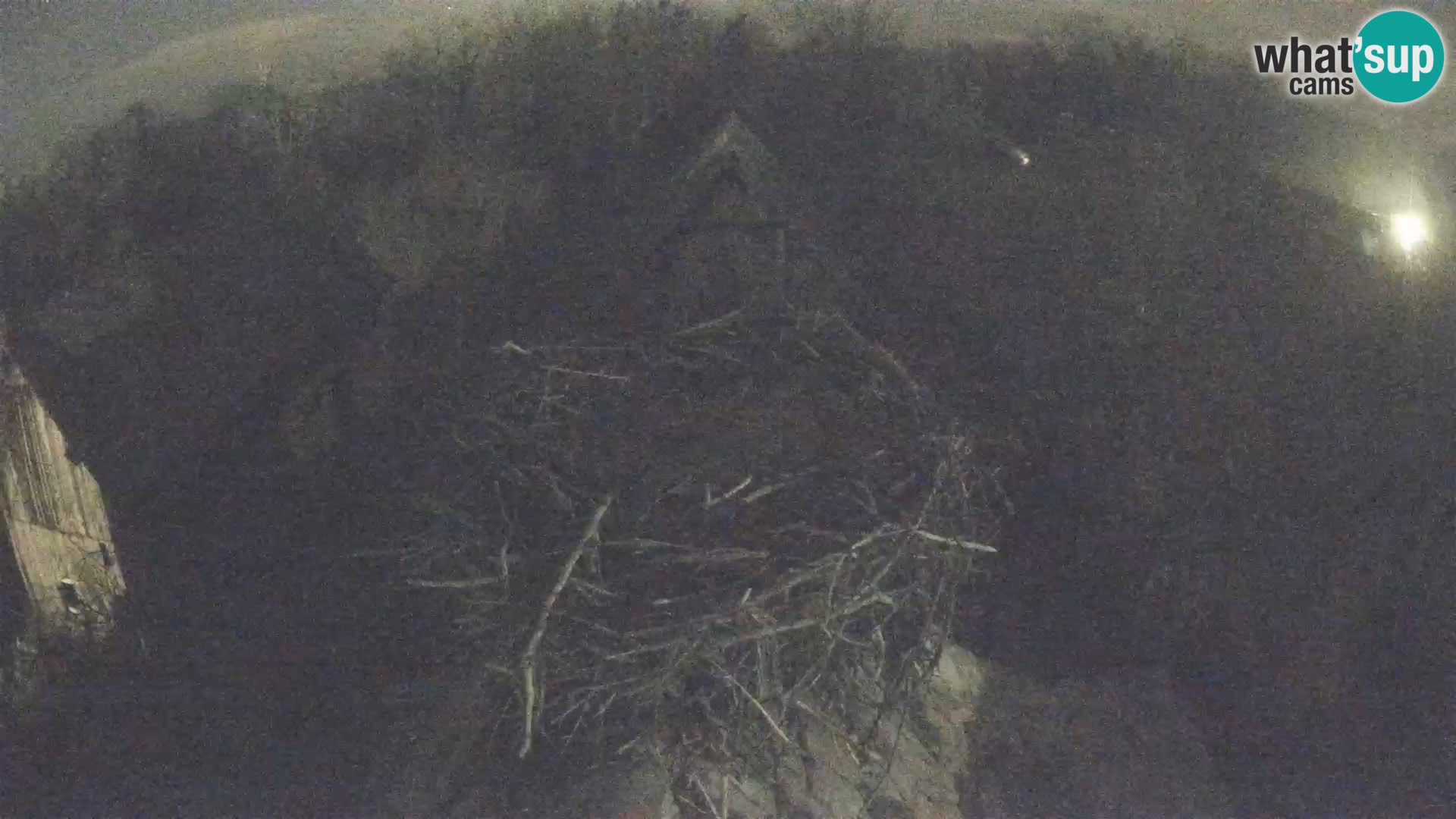 Villaggio delle cicogne europee webcam Parco naturale di Lonjsko polje