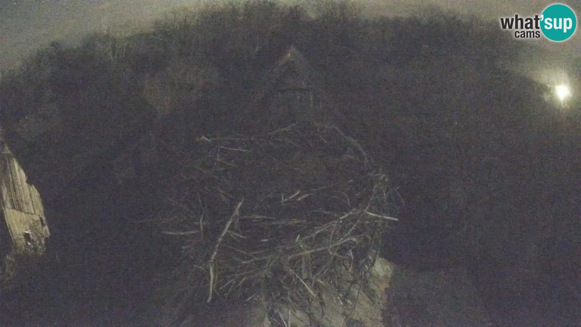 Village européen de cigognes webcam Parc naturel de Lonjsko polje