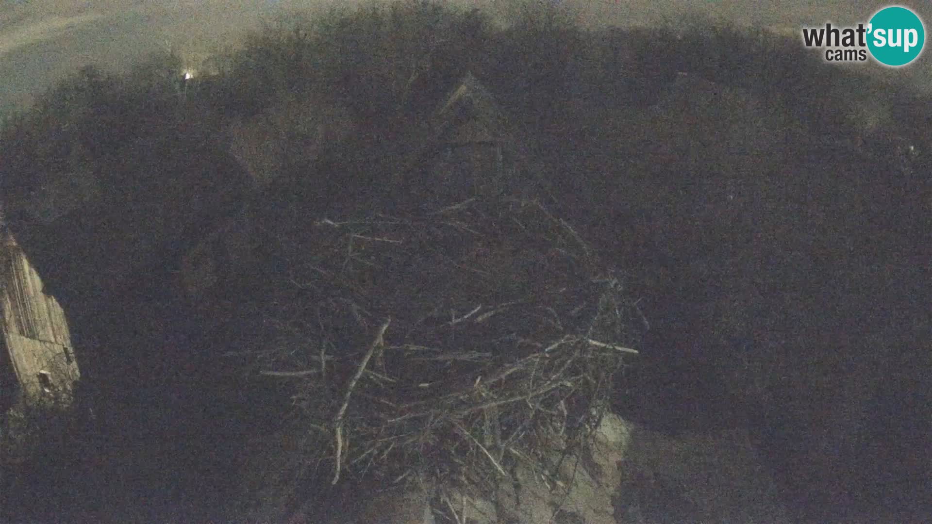 Evropska vas štorklje – Krajinski park Lonjsko polje spletna kamera