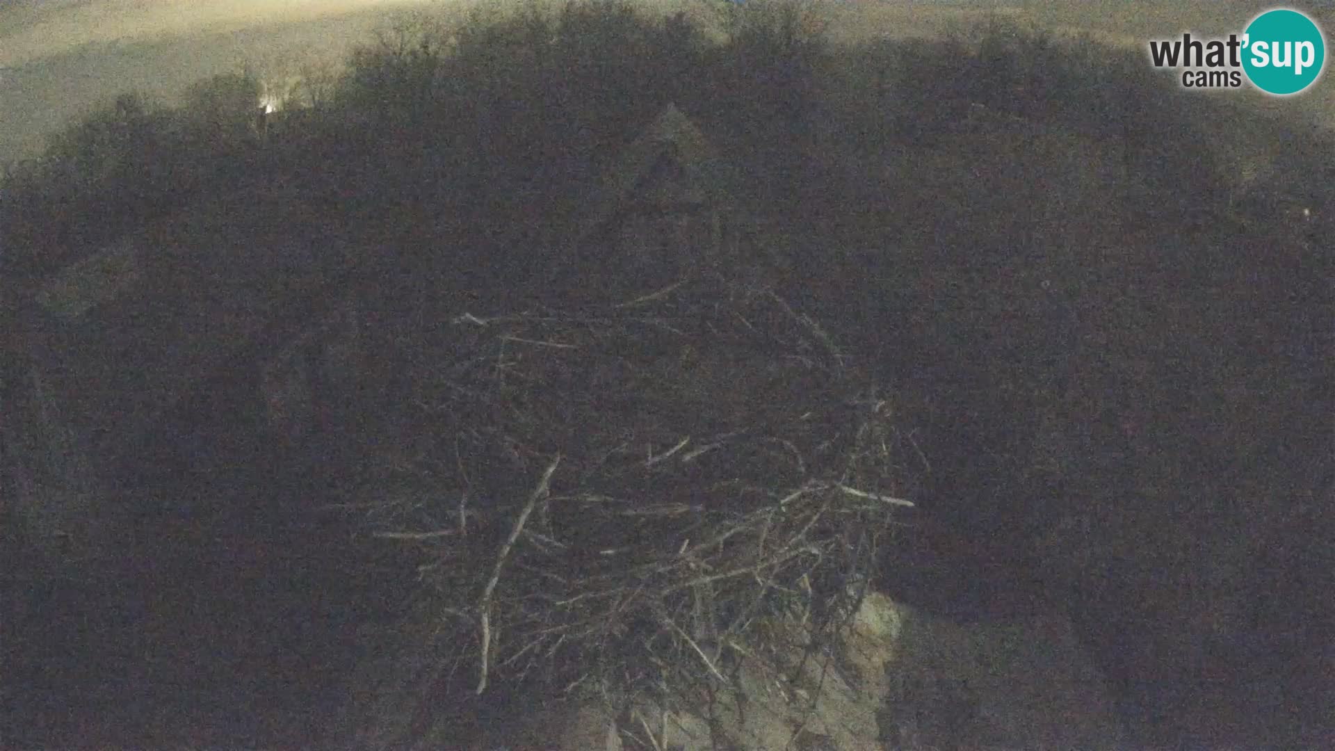 Villaggio delle cicogne europee webcam Parco naturale di Lonjsko polje