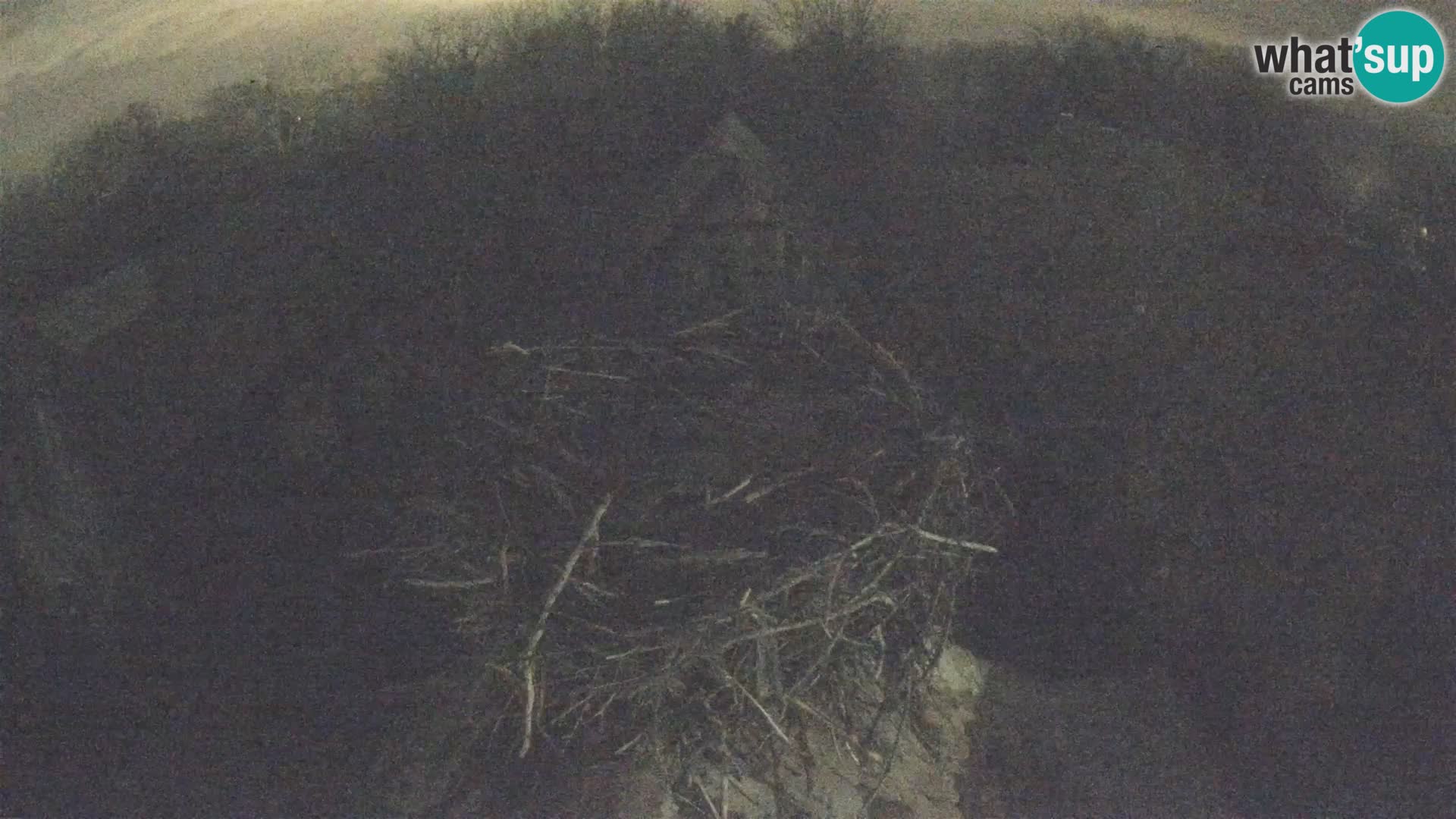 Pueblo europeo de cigüeñas camera en vivo Parque Natural Lonjsko polje