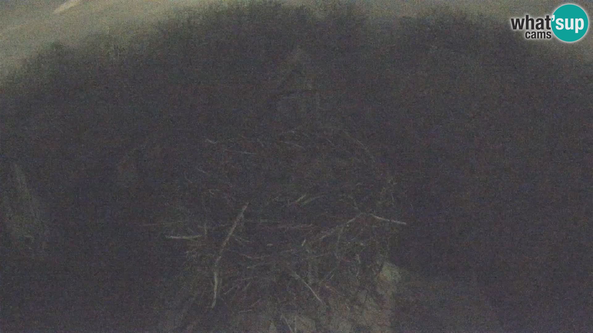 U živo Europsko selo roda – Park prirode Lonjsko polje