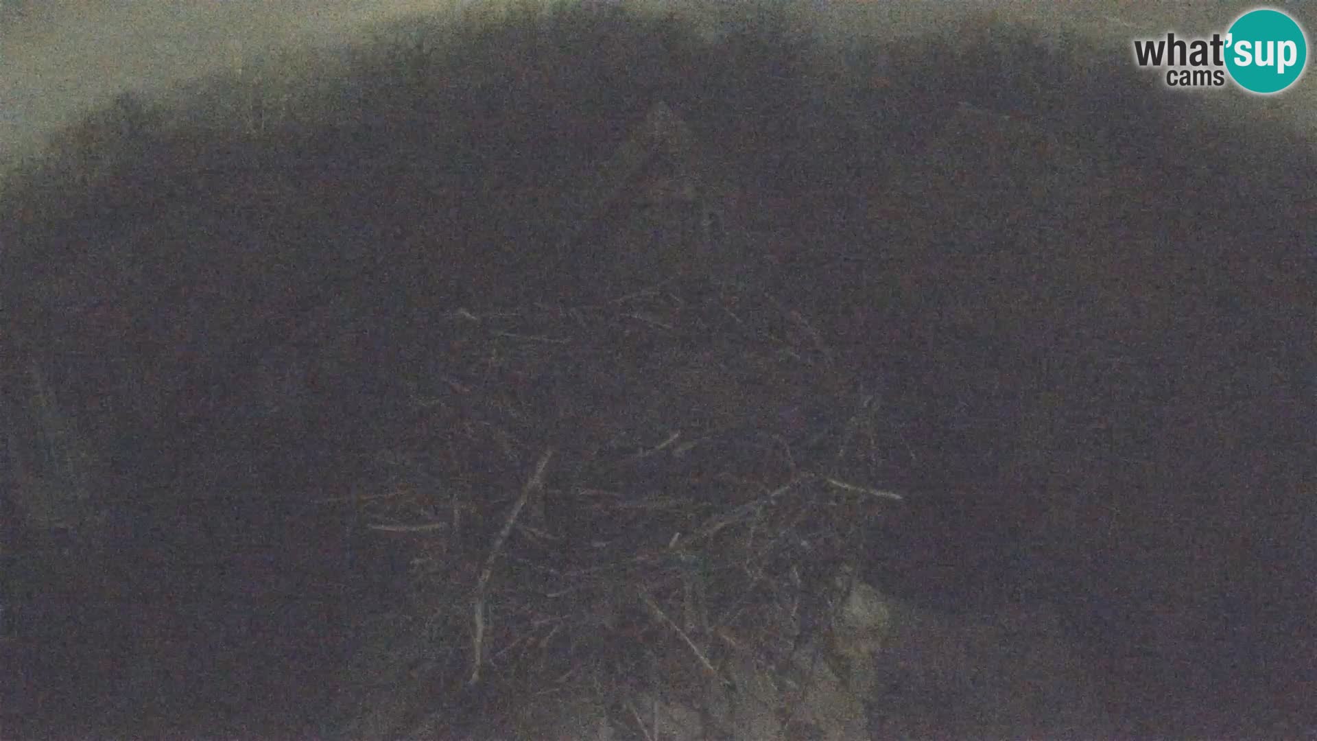 U živo Europsko selo roda – Park prirode Lonjsko polje