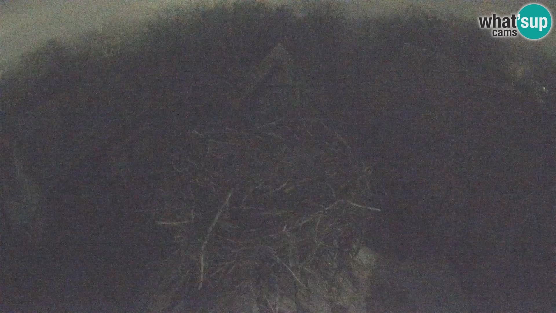 U živo Europsko selo roda – Park prirode Lonjsko polje