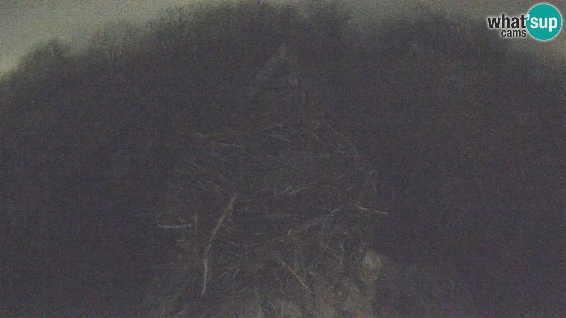 Village européen de cigognes webcam Parc naturel de Lonjsko polje