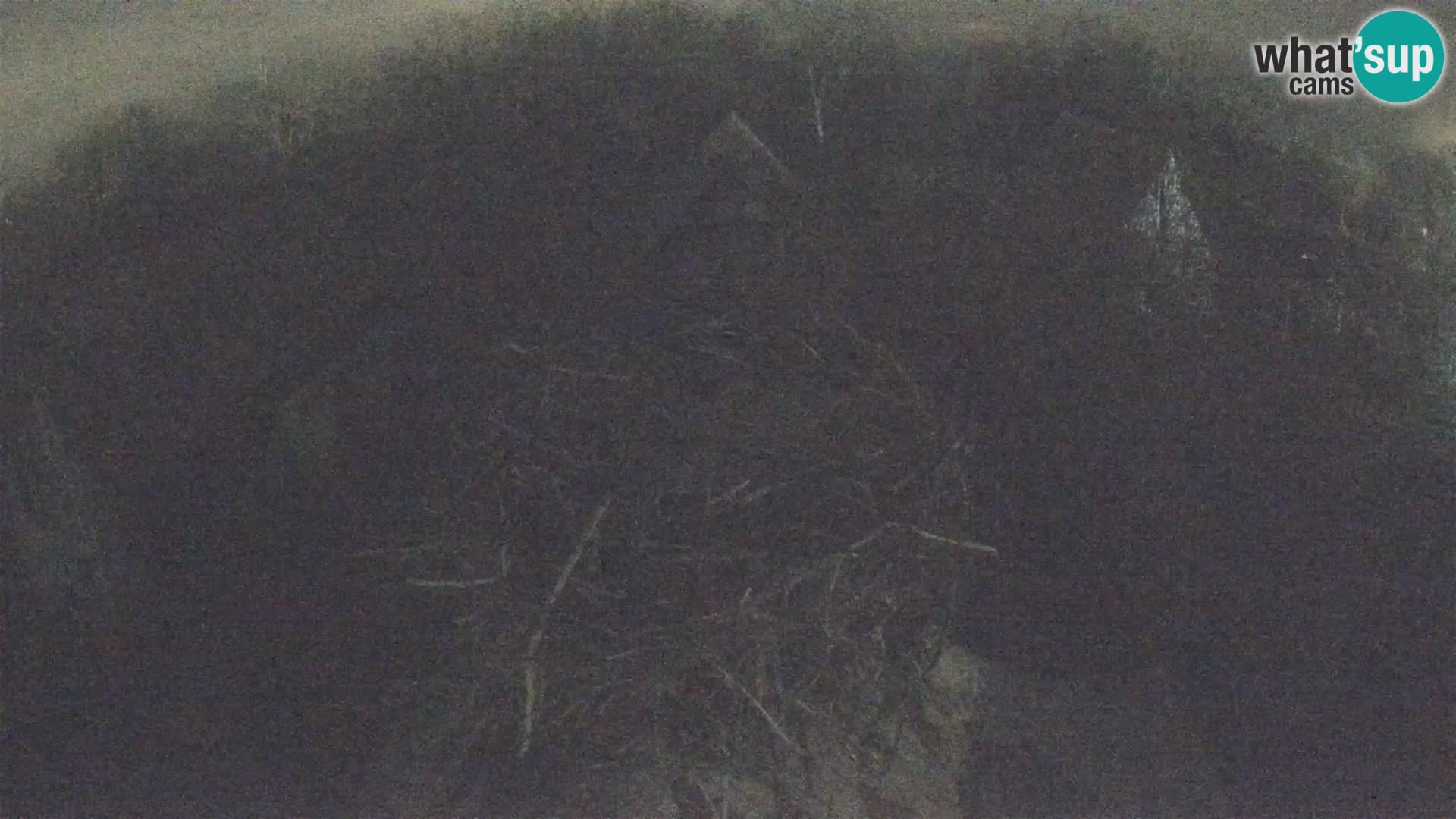 Village européen de cigognes webcam Parc naturel de Lonjsko polje