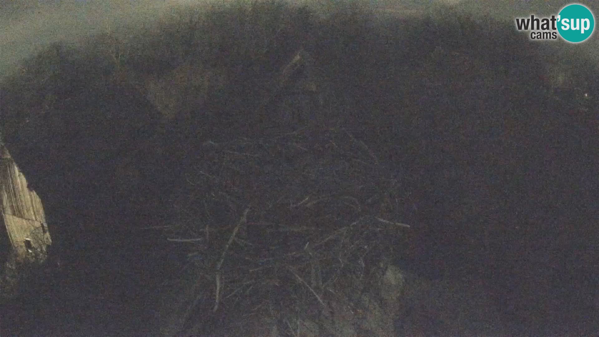 Pueblo europeo de cigüeñas camera en vivo Parque Natural Lonjsko polje