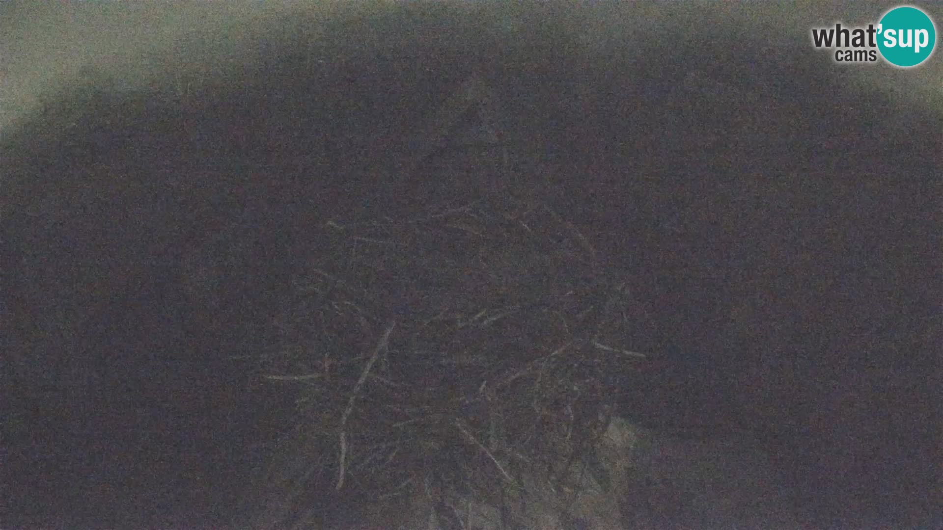 Webcam Europäisches Storchendorf – Naturpark Lonjsko polje