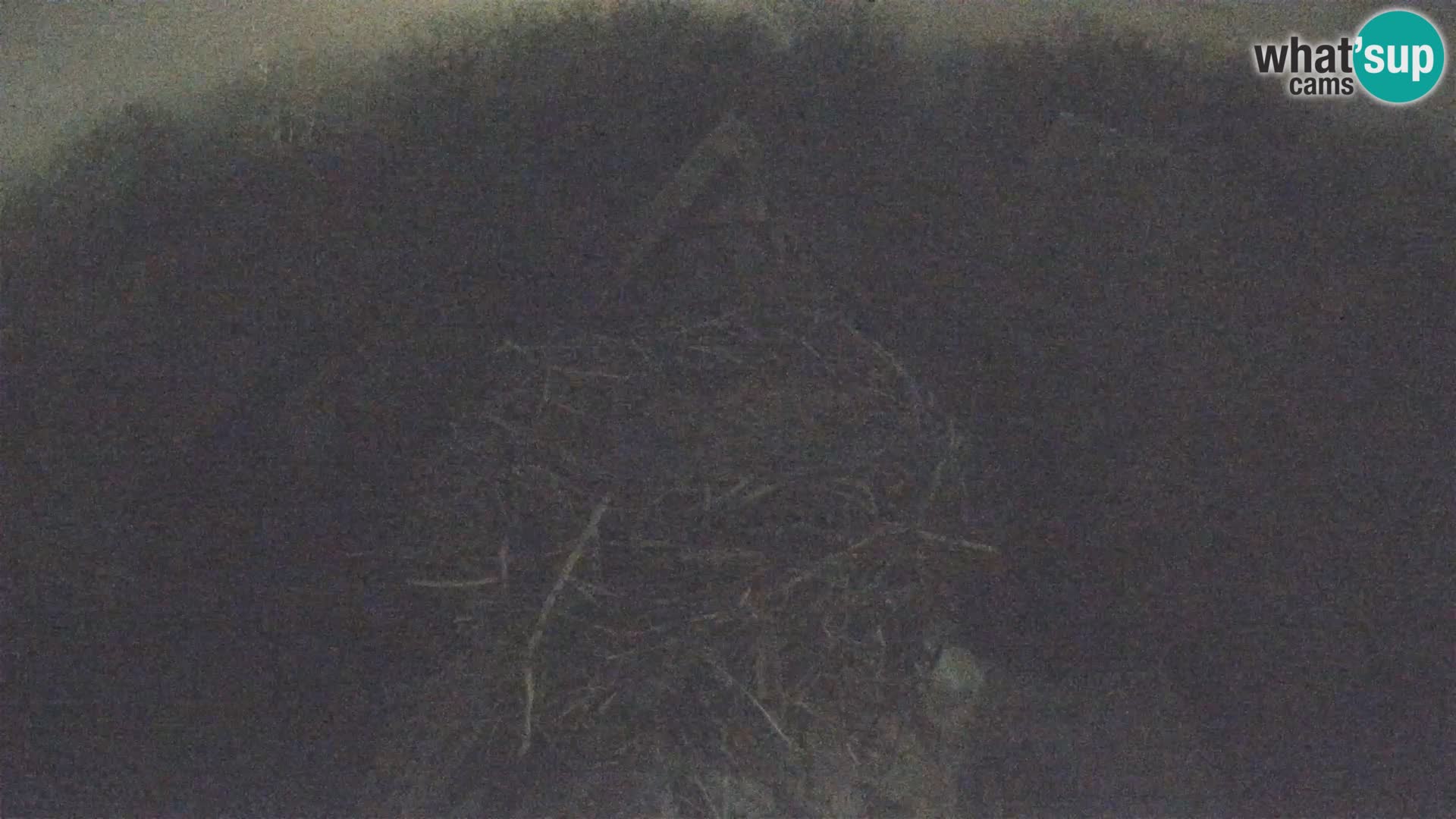 Evropska vas štorklje – Krajinski park Lonjsko polje spletna kamera