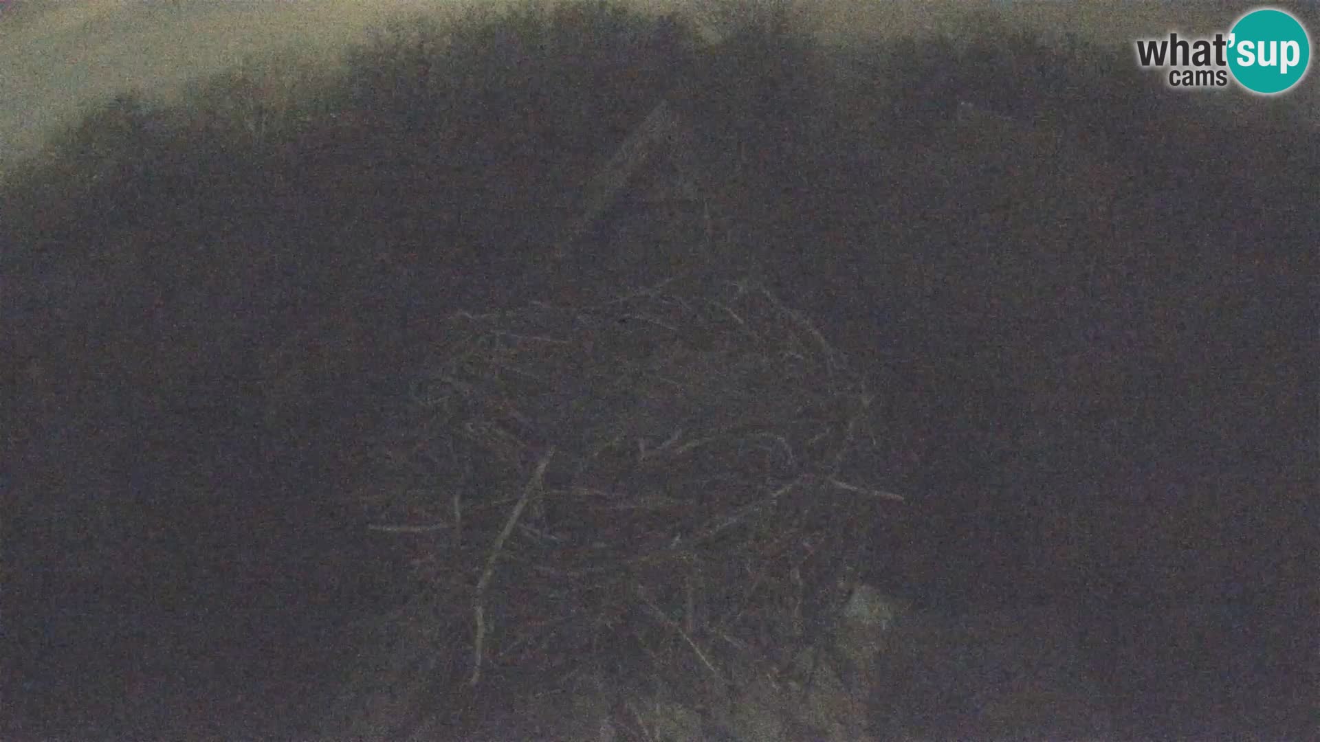 Webcam Europäisches Storchendorf – Naturpark Lonjsko polje