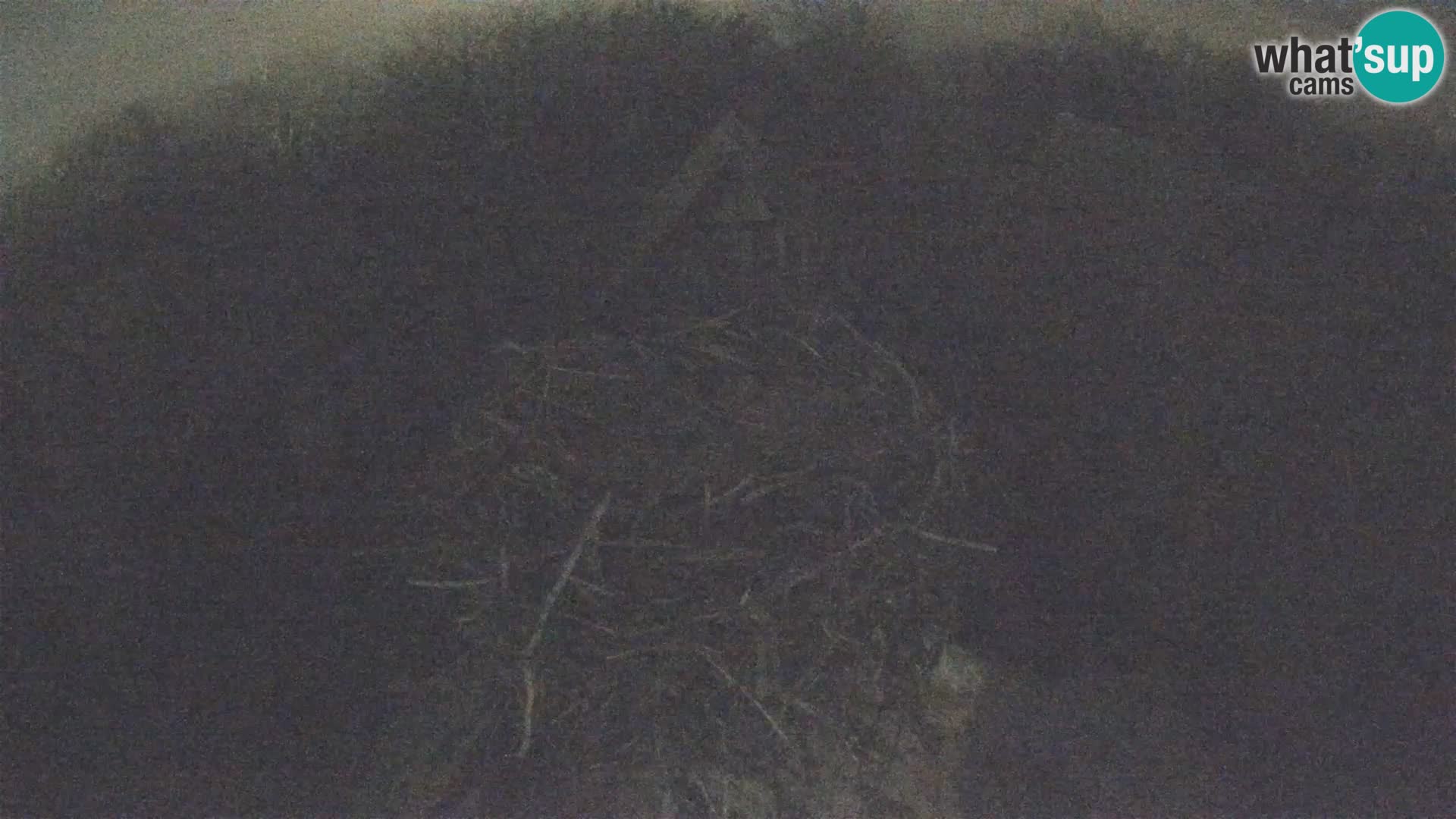 Villaggio delle cicogne europee webcam Parco naturale di Lonjsko polje