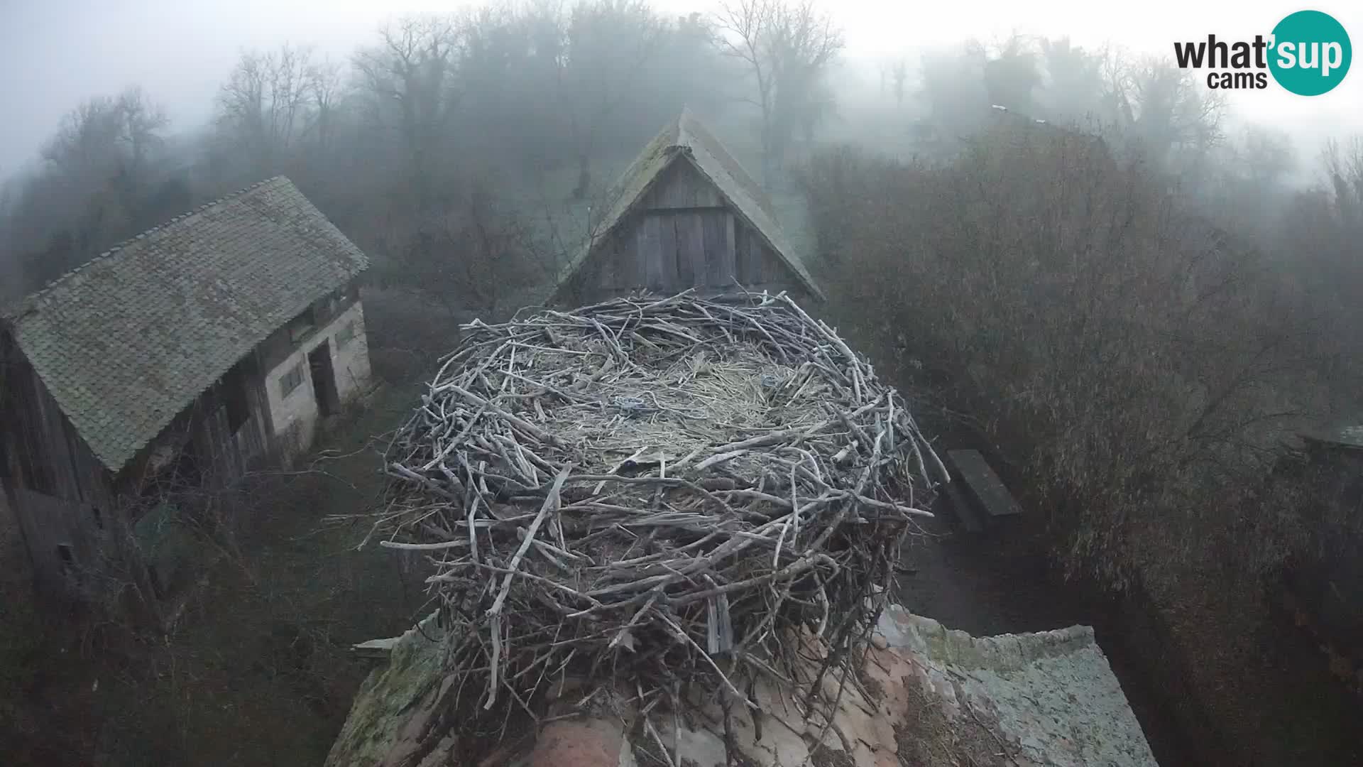 U živo Europsko selo roda – Park prirode Lonjsko polje