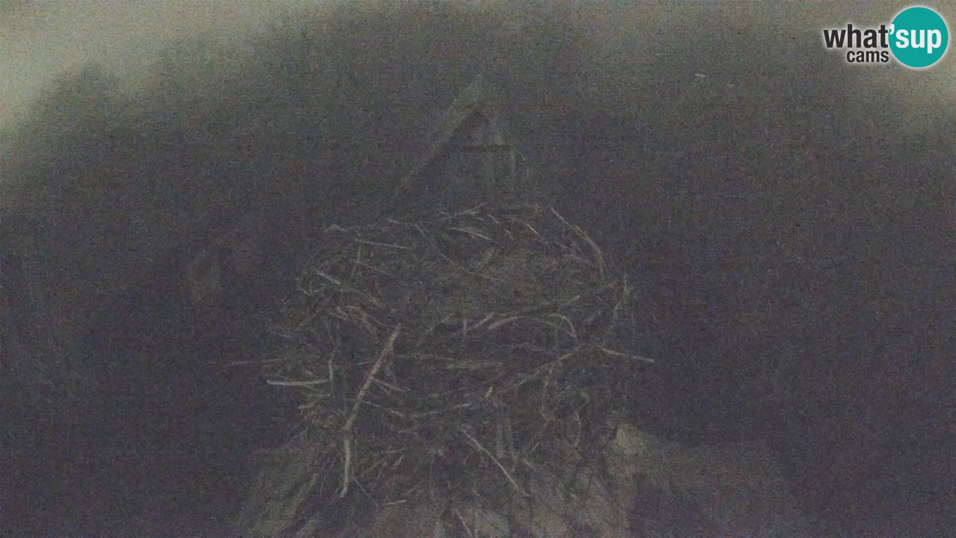 Pueblo europeo de cigüeñas camera en vivo Parque Natural Lonjsko polje