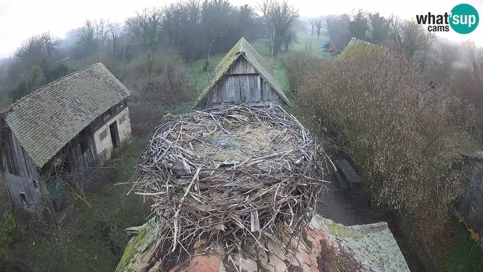 U živo Europsko selo roda – Park prirode Lonjsko polje